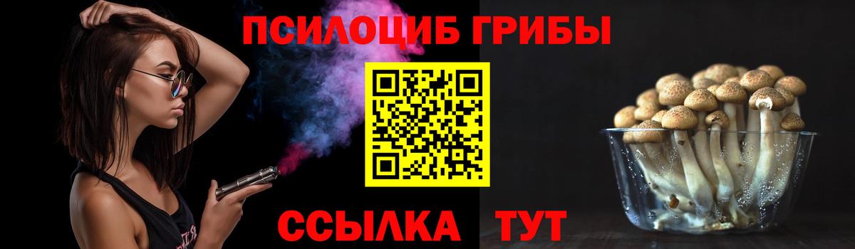 Уссурийск  Псилоцибиновые грибы MAGIC MUSHROOMS  Вход с VPN 